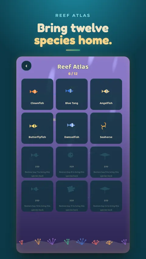The fish Atlas collection